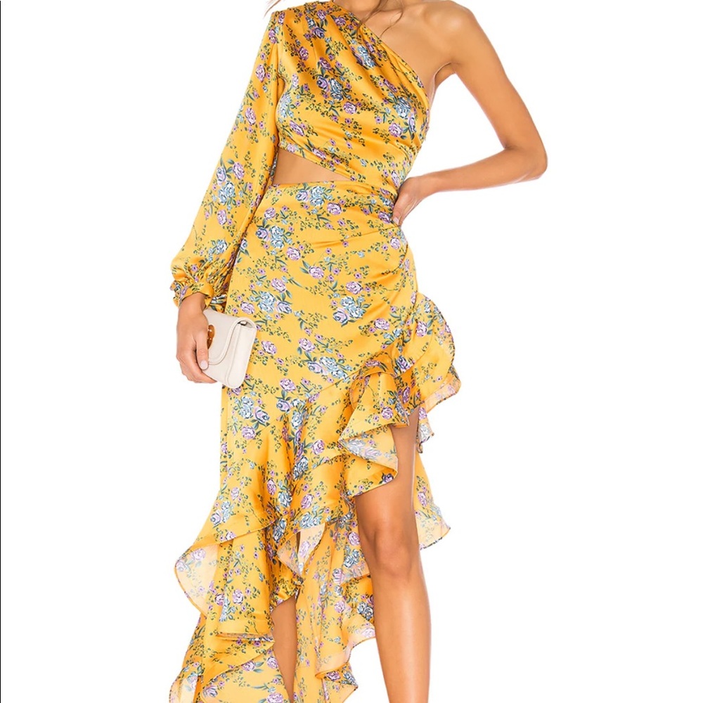 Bronx and Banco Hanna Gown in Multicolor